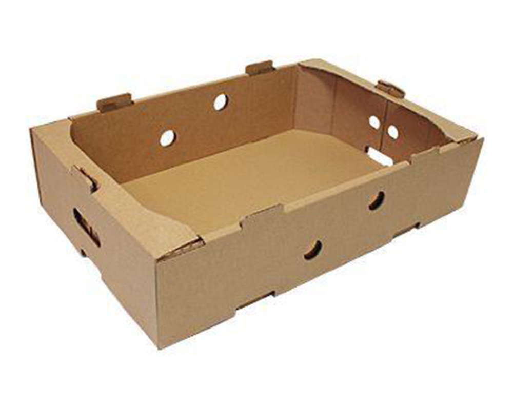 Cardboard